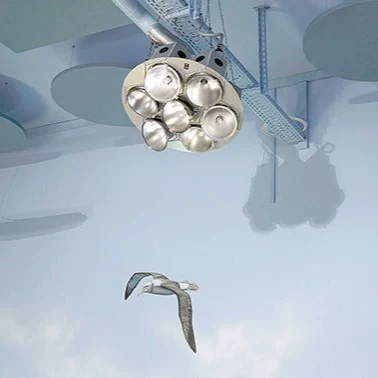 Foto: Wandmalerei im Flur im Nutzwedel Sonnentherapiezentrum, Detail