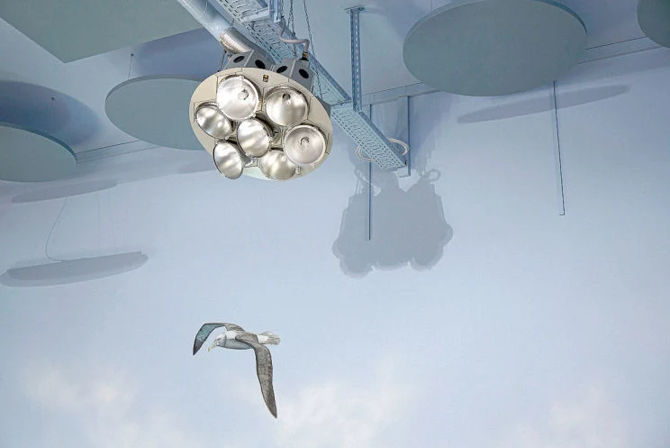 Nutzwedel Sonnentherapiezentrum, Detail der Wandmalerei im Ruheraum